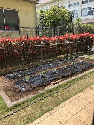 ディーフェスタ川口芝高木