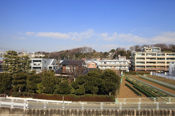 ディーフェスタ 溝の口