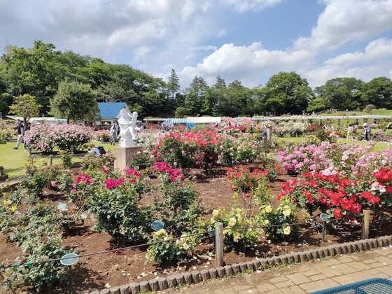 ディーフェスタ 溝の口