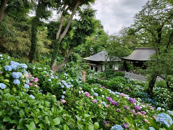 ディーフェスタ 溝の口