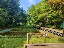 県立東高根森林公園