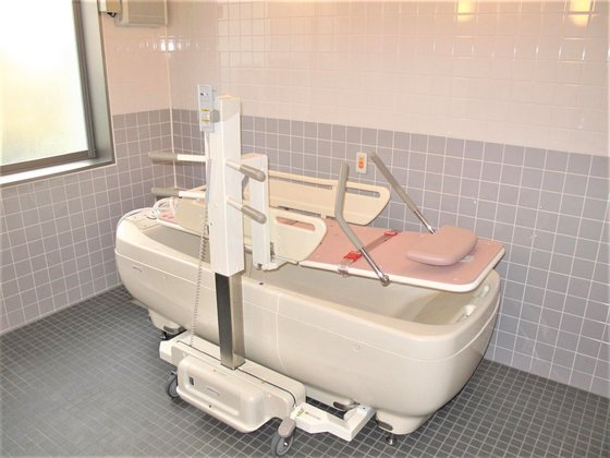 ディーフェスタ 日野