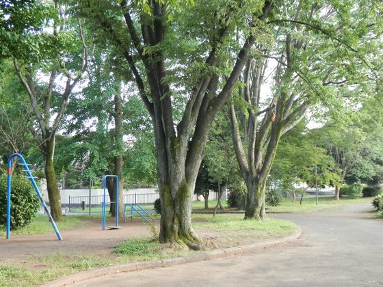 ディーフェスタ めじろ台