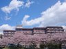 かがやきの郷