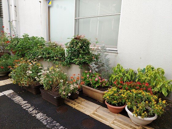 特別養護老人ホーム 御寿園