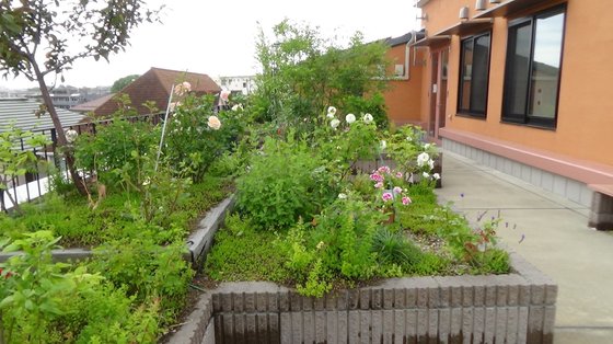 和楽久シニアレジデンス長津田