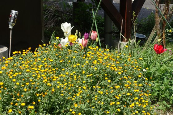 グループホームまっとう