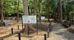 長津田宿市民の森入口