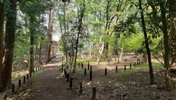 長津田宿市民の森散策路