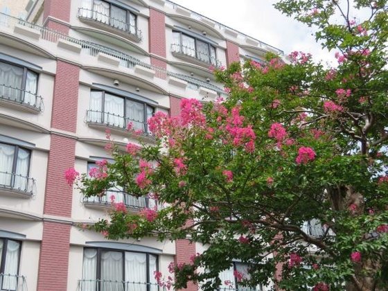 レディースマンション ヴィーヴル祇園