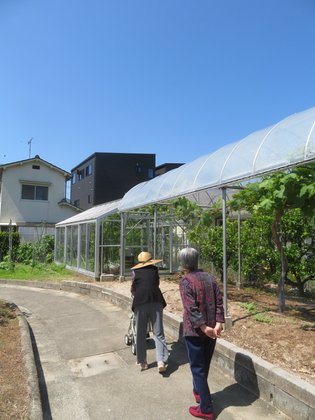 レディースマンション ヴィーヴル祇園