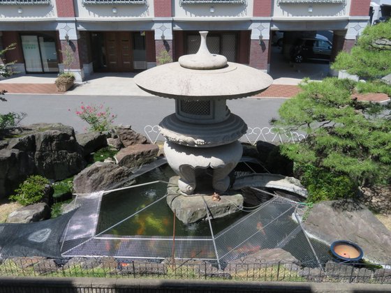 レディースマンション ヴィーヴル祇園