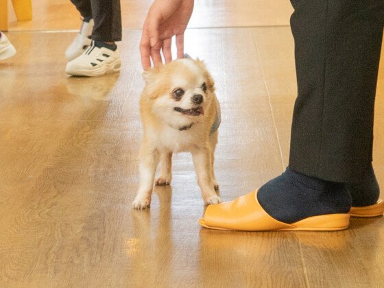 たいよう 吉塚館