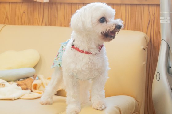 【ナーシングホーム】たいよう片江館