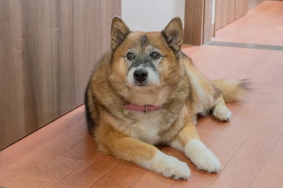 たいよう古賀館