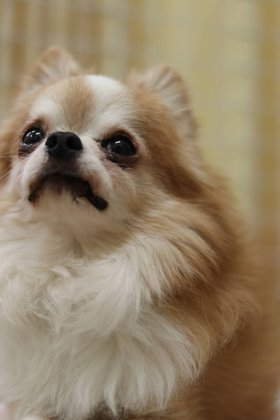 たいよう古賀館