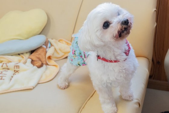 たいよう古賀館