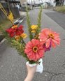 さんよう名谷の事務員さんからステキなお花をいただきました🌼