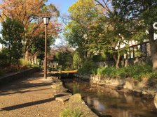 目の前の親水公園でお散歩