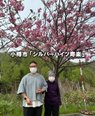 【小樽市シルバーハイツ寿楽】お花見🌸