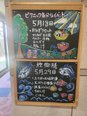 5月の行事食