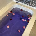 湯船に咲く色鮮やかな花々🌹 特別入浴「バラ湯」を行いました