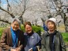 花見ランチ桜 北条大池 1 4/9