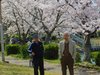 花見ランチ桜 北条大池2