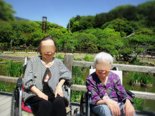 新緑の太宰府天満宮へ🌿