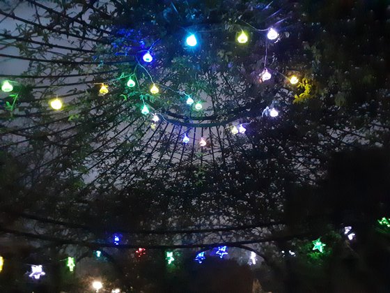 サンシャイン・ヴィラつくば倶楽夢