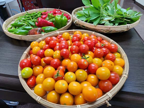 サンシャイン・ヴィラつくば倶楽夢