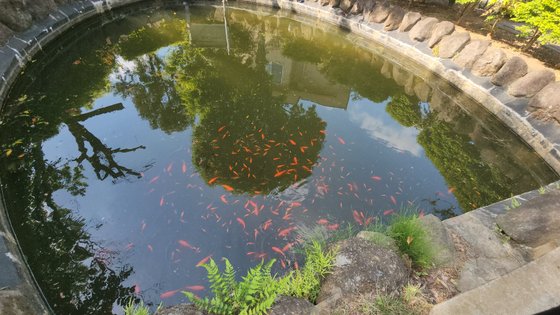 サンシャイン・ヴィラつくば倶楽夢