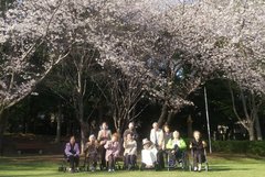 ❀春の陽気に誘われて、お花見へ行ってきまた❀