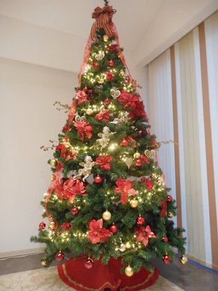 サンシャイン・ヴィラ守谷倶楽夢