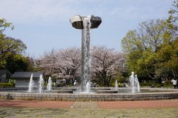 桜が満開時は圧巻
