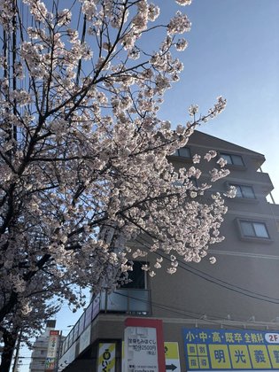 愛