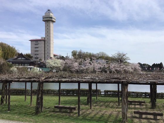 住宅型有料老人ホームThinkLife旭