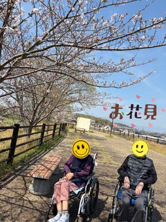 ☀️お花見散歩🌸