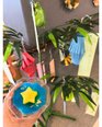 🎋七夕イベント🌟