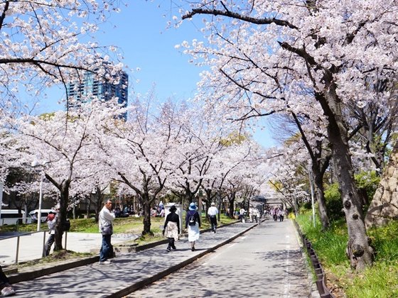サンフォーリーフタウン桜ノ宮サンミットコート