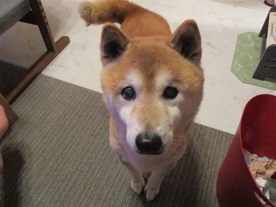 レジデンス熊谷