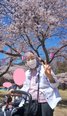 お花見ドライブ🌸