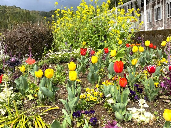 有料老人ホームフローラ