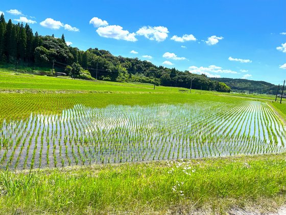 有料老人ホームフローラ