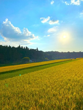 有料老人ホームフローラ