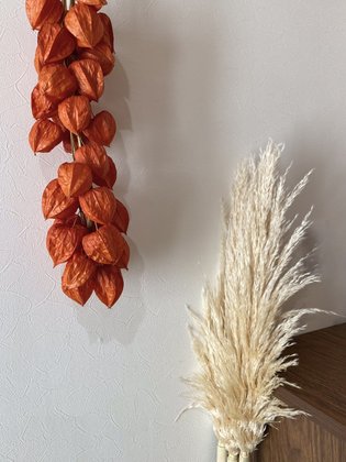 有料老人ホームメゾンフローラ