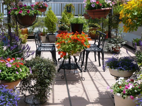 ラルーチェ阿倍野