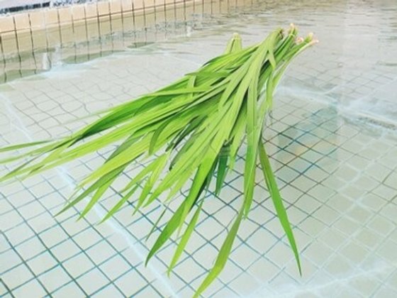 すずらん台翔裕館