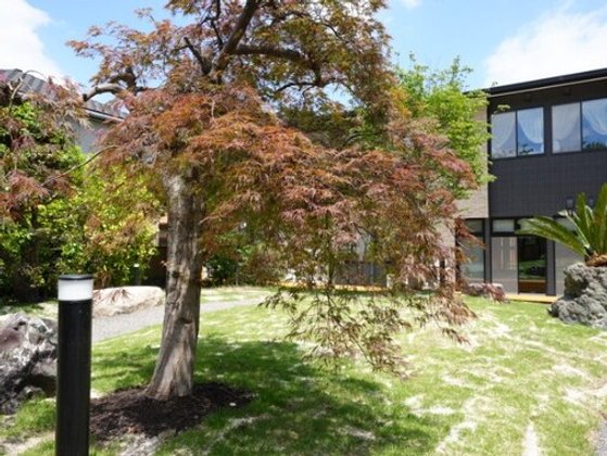 THE Classic Care Residence 弥富