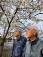 3月末から4月初旬にかけて、弥富市近郊でお花見をしてきました